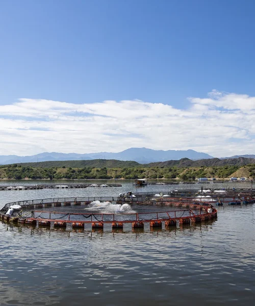 Nuestra Historia y Filosofía-2